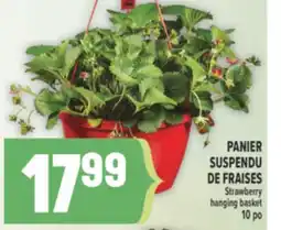Marché Adonis PANIER SUSPENDU DE FRAISES | STRAWBERRY HANGING BASKET offer
