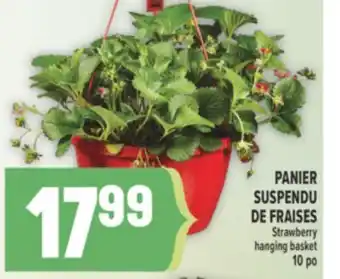 Marché Adonis PANIER SUSPENDU DE FRAISES | STRAWBERRY HANGING BASKET offer