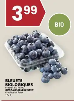 Rachelle-Bery Grocery ORGANIC BLUEBERRIES offer