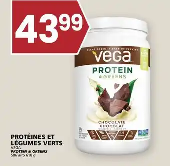 Rachelle-Bery Grocery VEGA PROTEIN & GREENS offer