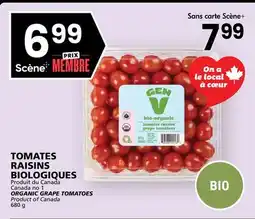 Rachelle-Bery Grocery ORGANIC GRAPE TOMATOES offer