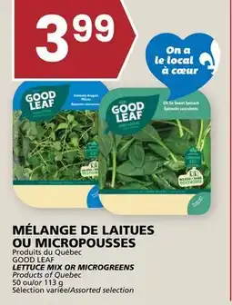 Rachelle-Bery Grocery GOOD LEAF LETTUCE MIX OR MICROGREENS offer