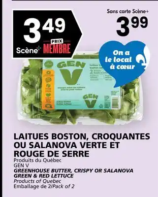Rachelle-Bery Grocery GEN V GREENHOUSE BUTTER, CRISPY OR SALANOVA GREEN & RED LETTUCE offer