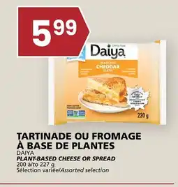 Rachelle-Bery Grocery DAIYA PLANT-BASED CHEESE OR SPREAD offer