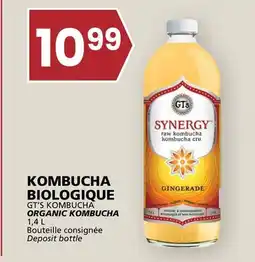 Rachelle-Bery Grocery GT'S KOMBUCHA ORGANIC KOMBUCHA offer