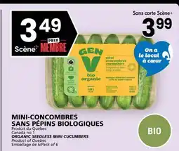 Rachelle-Bery Grocery ORGANIC SEEDLESS MINI CUCUMBERS offer