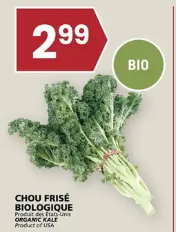 Rachelle-Bery Grocery ORGANIC KALE offer