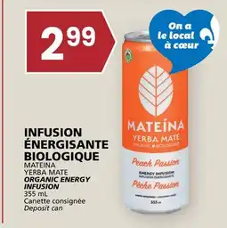 Rachelle-Bery Grocery MATEINA YERBA MATE ORGANIC ENERGY INFUSION offer