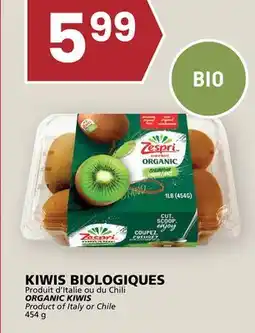 Rachelle-Bery Grocery ORGANIC KIWIS offer