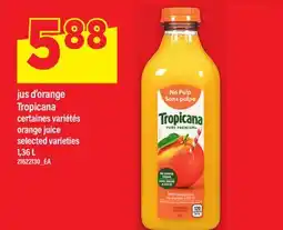 Maxi JUS D'ORANGE TROPICANA | ORANGE JUICE, 1,36 L offer