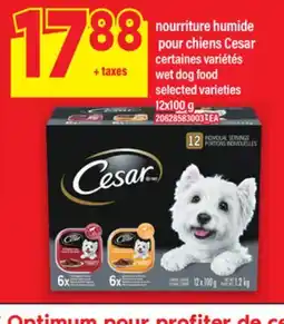 Maxi NOURRITURE HUMIDE POUR CHIENS CESAR, 12x100 g offer