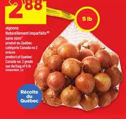 Maxi ONIONS NATURELLEMENT IMPARFAITS SANS NOM | onions, 5 lb offer