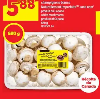 Maxi CHAMPIGNONS BLANCS NATURELLEMENT IMPARFAITS SANS NOM | WHITE MUSHROOMS 680 G offer
