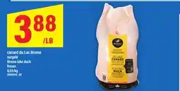 Maxi CANARD DU LAC BROME offer