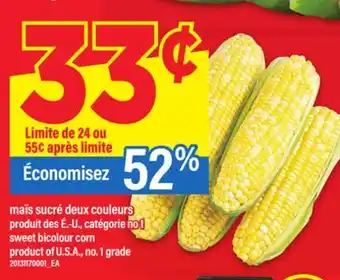 Maxi MAÏS SUCRÉ DEUX COULEURS | SWEET BICOLOUR CORN offer
