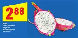 Maxi PITAYA | DRAGON FRUIT offer
