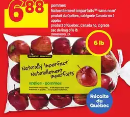 Maxi POMMES NATURELLEMENT IMPARFAITS SANS NOM , SAC DE 6 LB offer