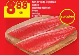 Maxi FILET DE TRUITE STEELHEAD | STEELHEAD TROUT FILLET offer