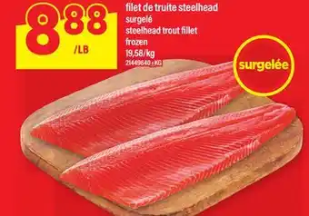 Maxi FILET DE TRUITE STEELHEAD | STEELHEAD TROUT FILLET offer