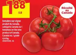 Maxi TOMATES SUR VIGNE | TOMATOES ON THE VINE offer