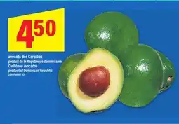 Maxi AVOCATS DES CARAÏBES offer