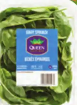 Giant Tiger baby spinach offer