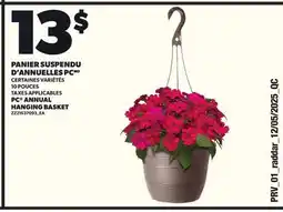 Provigo PANIER SUSPENDU D'ANNUELLES PC, 10 POUCES offer