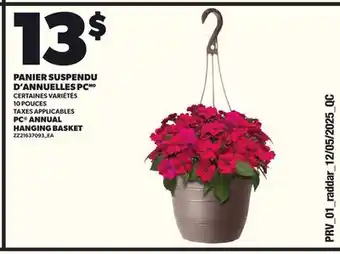 Provigo PANIER SUSPENDU D'ANNUELLES PC, 10 POUCES offer