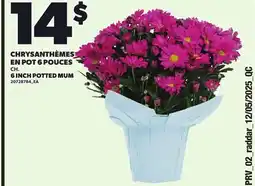 Provigo CHRYSANTHÈMES EN POT 6 POUCES offer