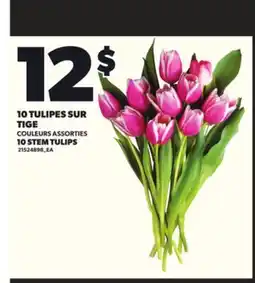 Provigo 10 TULIPES SUR offer
