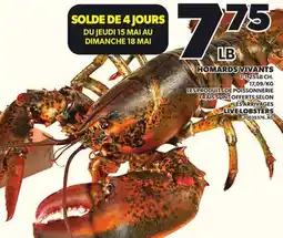 Provigo HOMARDS VIVANTS 1-1,25 LB CH offer