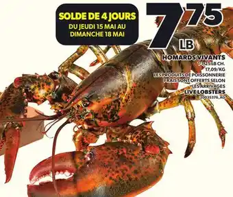 Provigo HOMARDS VIVANTS 1-1,25 LB CH offer