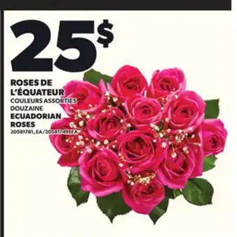 Provigo ROSES DE L'ÉQUATEUR offer