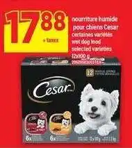 Maxi Cesar Wet Dog Food offer
