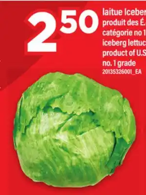 Maxi LAITUE ICEBERG | ICEBERG LETTUCE offer
