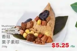 T&T Supermarket Mushroom and Chestnut Rice Dumpling offer