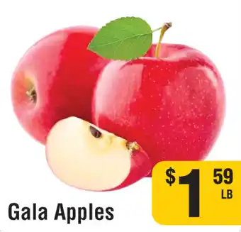 Iqbal Foods Gala Apples offer