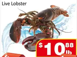 Jian Hing Supermarket Live Lobster offer