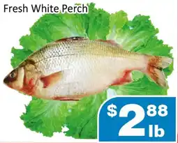 Jian Hing Supermarket Fresh White Perch offer