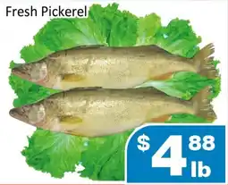 Jian Hing Supermarket Fresh Pickerel offer