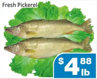 Jian Hing Supermarket Fresh Pickerel offer