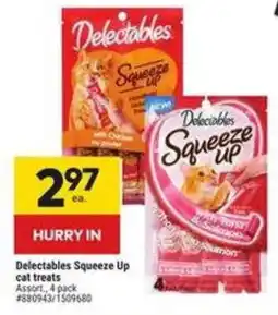 Giant Tiger Delectables Squeeze Up cat treats offer