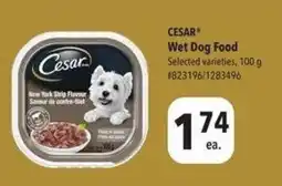 Giant Tiger CESAR Wet Dog Food offer