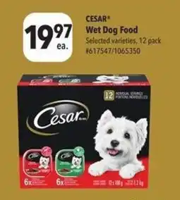 Giant Tiger CESAR Wet Dog Food offer
