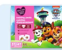 Walmart Parent's Choice PAW Patrol Training Pants offer