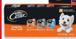 Walmart Cesar Wet Dog Food Value Pack offer