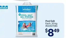 Walmart Pool Salt offer