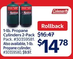 Walmart 1-lb. Propane Cylinders 2-Pack offer