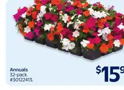 Walmart Annuals offer