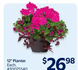 Walmart 12 Planter offer